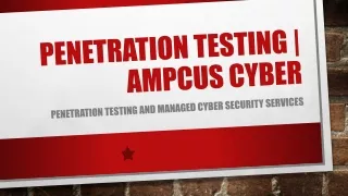 Penetration Testing and Managed Cyber Security Services