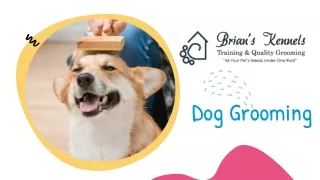 Dog Grooming Quincy - Brian's Kennels