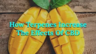 how terpenes increase the effects of cbd