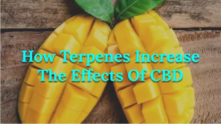 how terpenes increase the effects of cbd