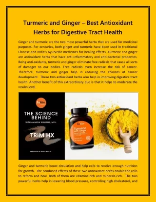 Turmeric and Ginger – Best Antioxidant Herbs for Digestive Tract Health