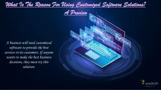 what is the reason for using customized software