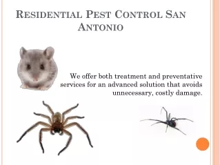 Residential Pest Control San Antonio-Satxpest