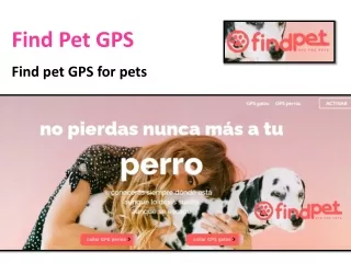 find pet gps