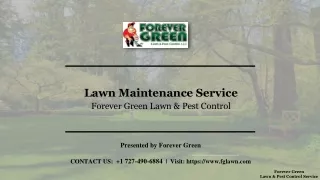 Lawn Maintenance Service | Forever Green
