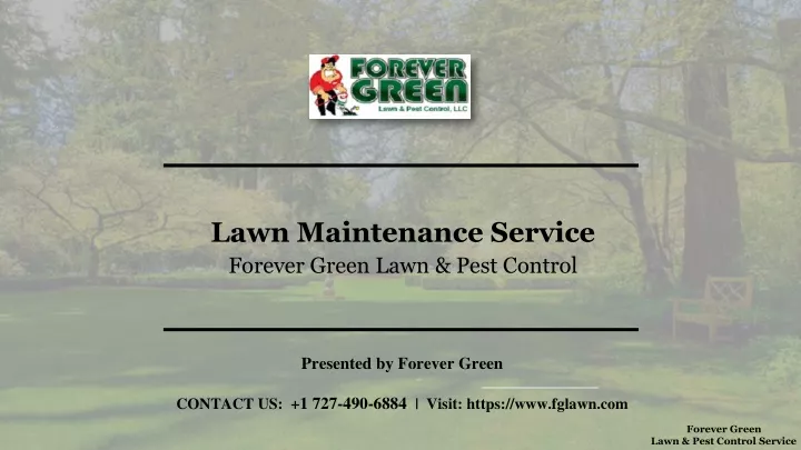 lawn maintenance service forever green lawn pest