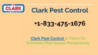 clark pest control 1 833 475 1676