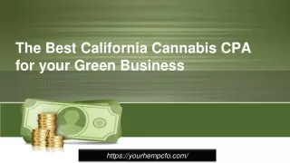 The Best California Cannabis CPA for your Green Business