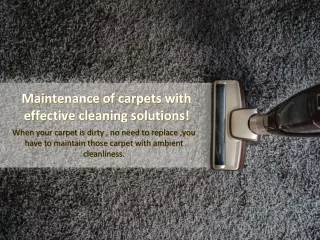 Maintenance of carpet with effective cleaning solutions!