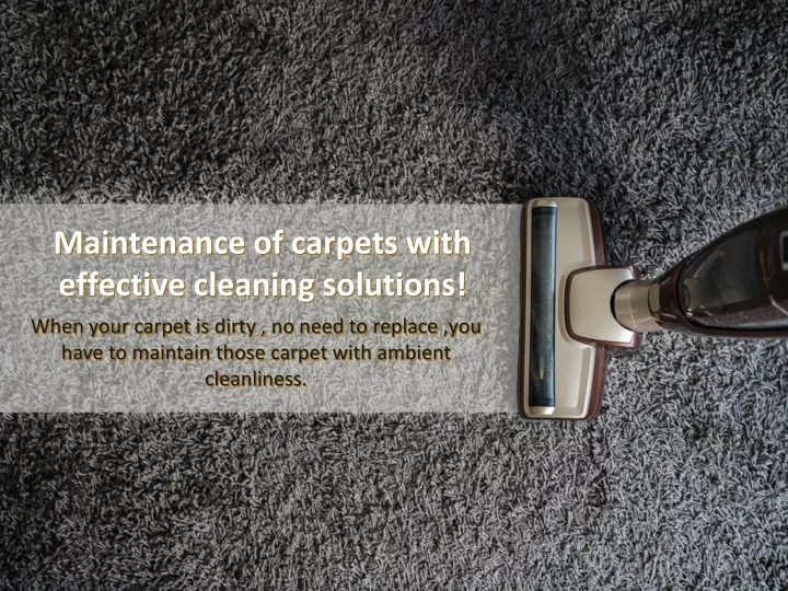 maintenance of carpets with effective cleaning solutions
