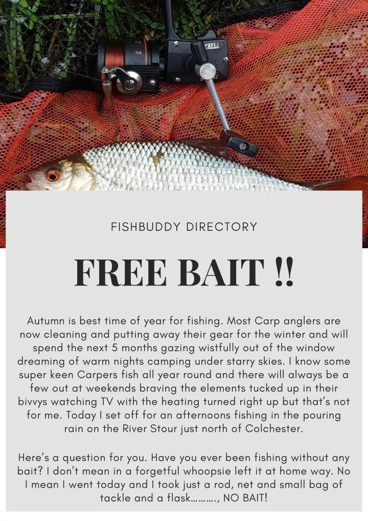 fishbuddy directory free bait