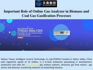 Important Role of Online Gas Analyzer in Biomass and Coal Gas Gasification Processes