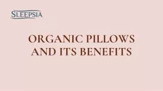 Organic Pillow and Its Benefits