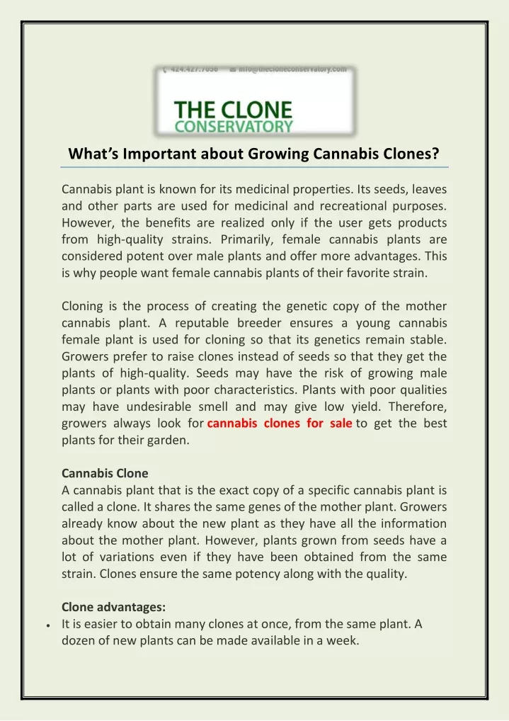 what s important about growing cannabis clones