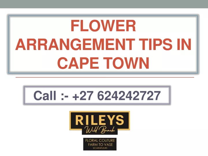 flower arrangement tips in cape town