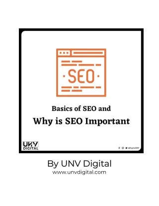 Importance of SEO and Basics You Need to Know