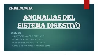 anomalías del sistema digestivo