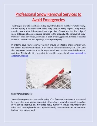 professional snow removal services