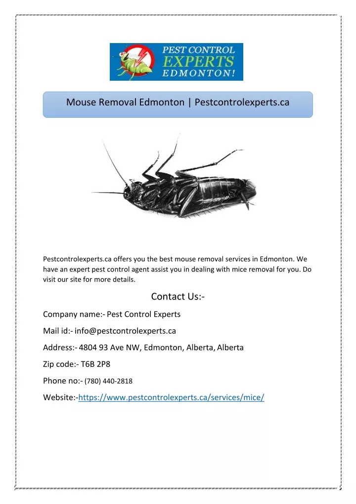 mouse removal edmonton pestcontrolexperts ca