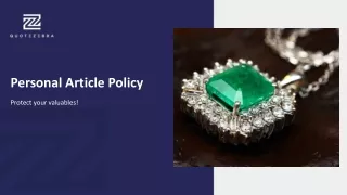 personal article policy