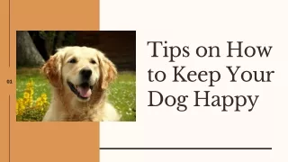 Tips on How to Keep Your Pet Happy