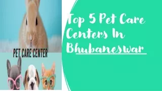 top 5 pet care centers in bhubaneswar