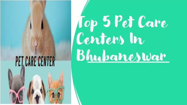 top 5 pet care centers in bhubaneswar