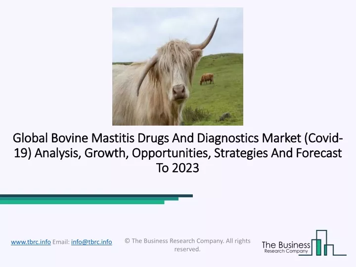 global bovine mastitis drugs and diagnostics