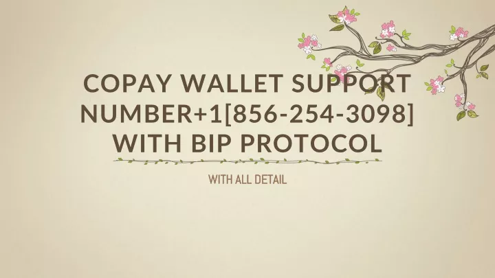 copay wallet support number 1 856 254 3098 with bip protocol