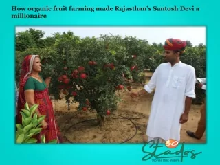 Organic Fruit Farming