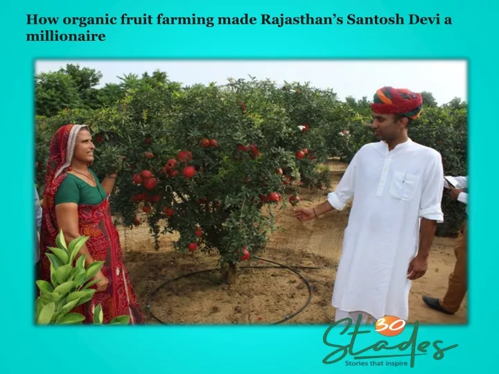 how organic fruit farming made rajasthan