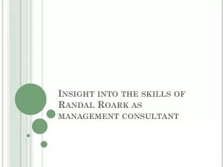 Insight into the skills of Randal Roark as management consultant