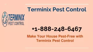 terminix pest control 1 888 248 6467