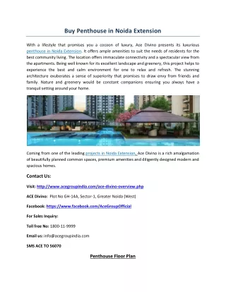 buy penthouse in noida extension