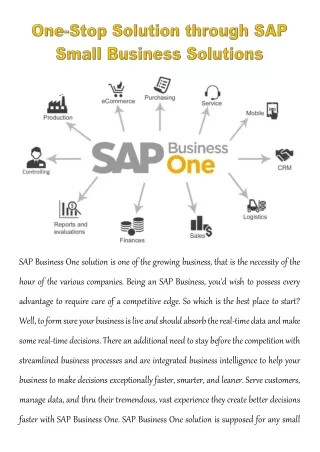 sap business one solution is one of the growing