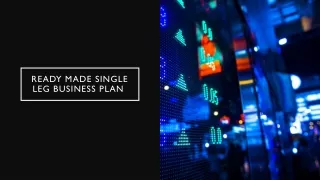 ready made single leg business plan