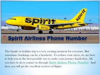 spirit airlines phone number