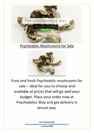 psychedelic mushrooms for sale