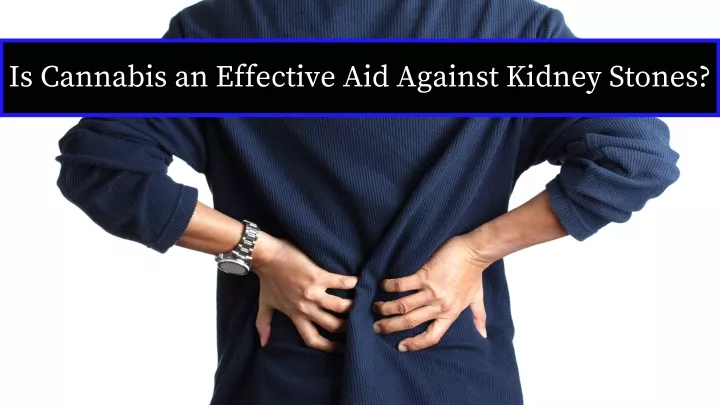 is cannabis an effective aid against kidney stones