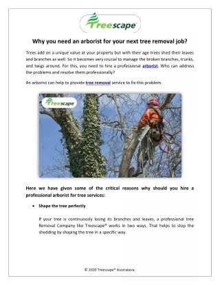 Why you need an arborist for your next tree removal job?