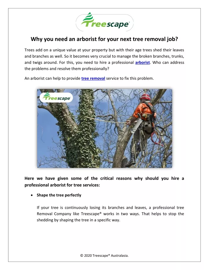 why you need an arborist for your next tree