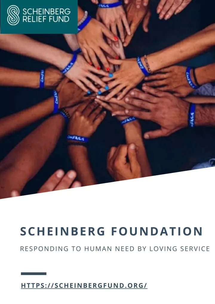 scheinberg foundation