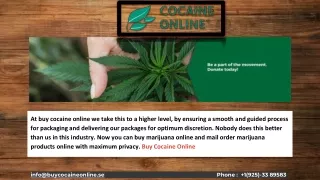 at buy cocaine online we take this to a higher