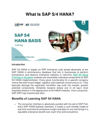 what is sap s 4 hana