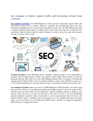 seo company in lahore organic traffic