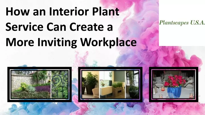 how an interior plant service can create a more