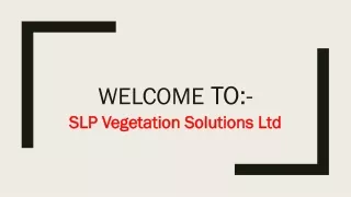 welcome to