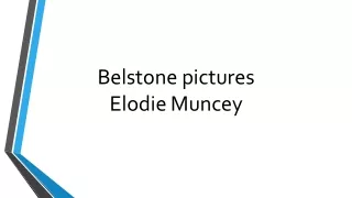 belstone pictures
