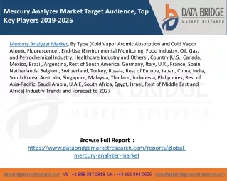 mercury analyzer market t arget audience