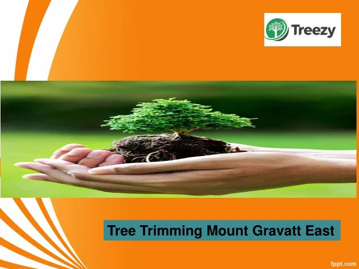 tree trimming mount gravatt east
